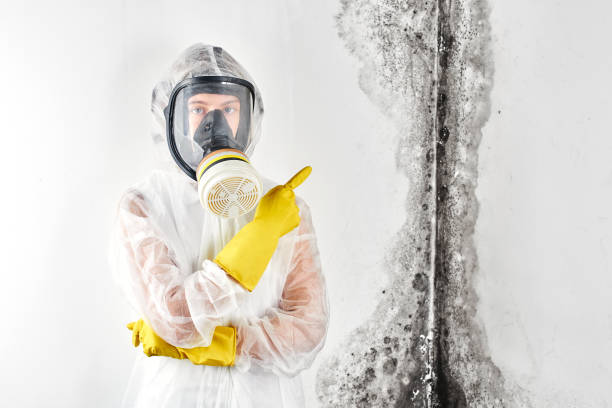 Mold Documentation for Insurance Claims in Van Wert, OH