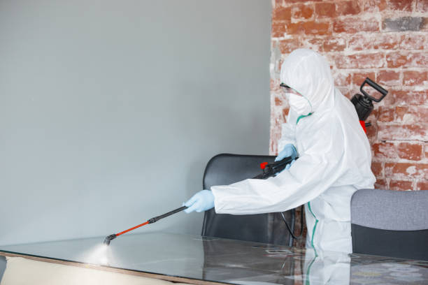 Trusted Van Wert, OH Mold Removal & Remediation Experts